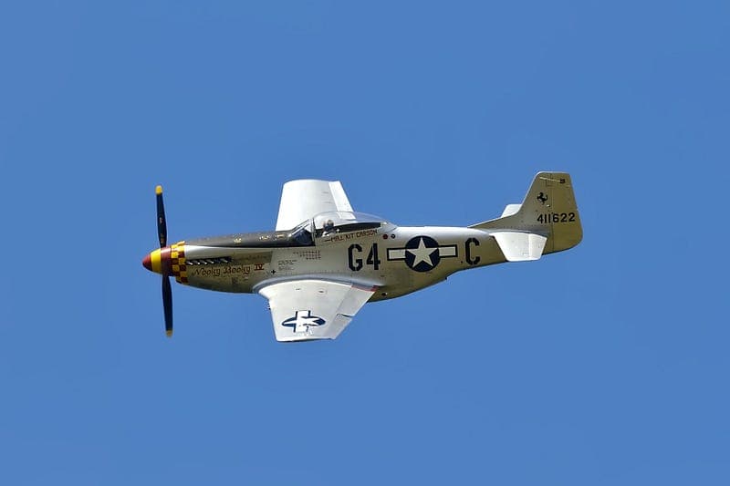 The Survivorship Bias